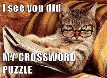 i-see-you-did-my-crossword-puzzle